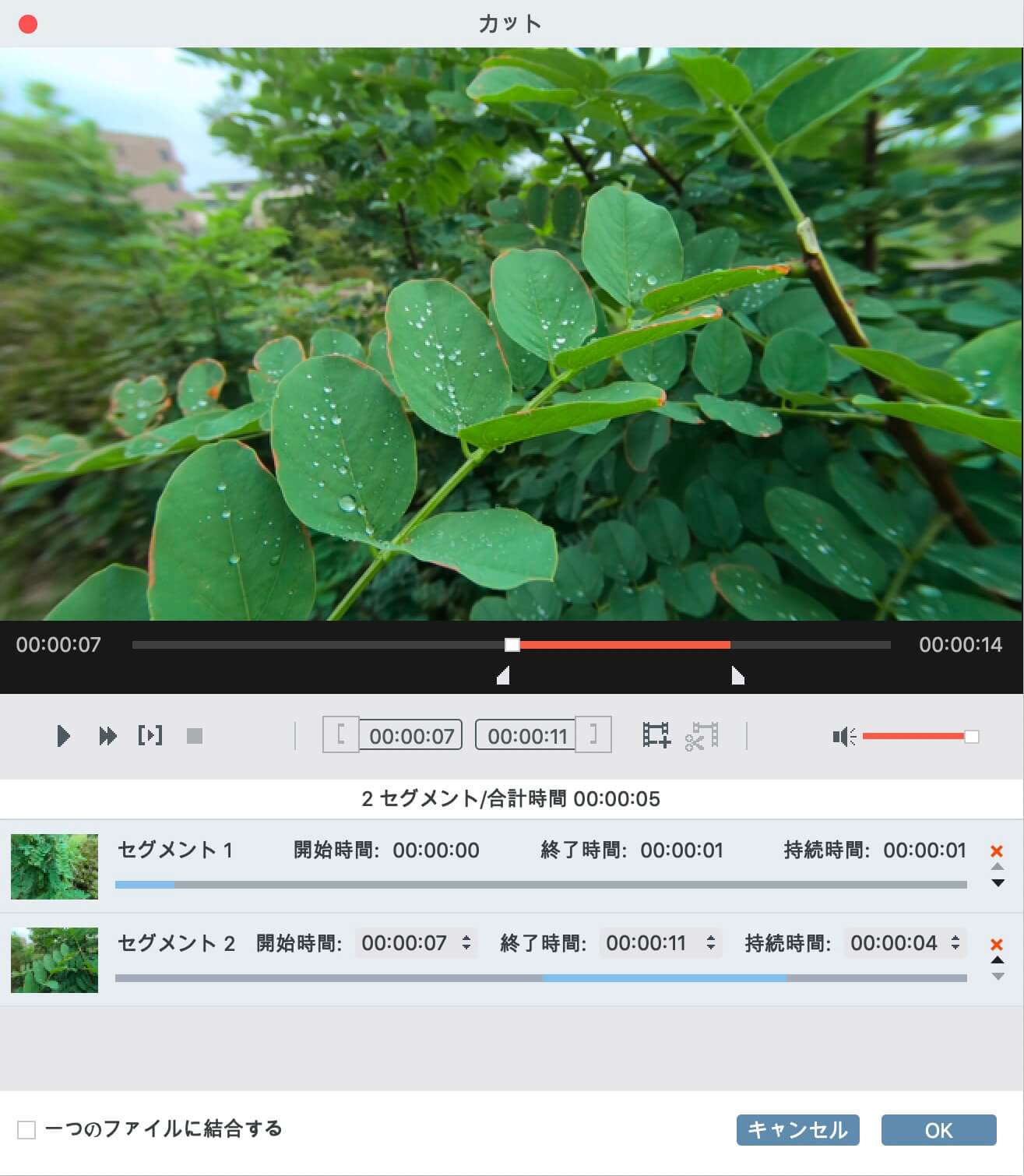 VideoSolo究極動画変換のカット画面