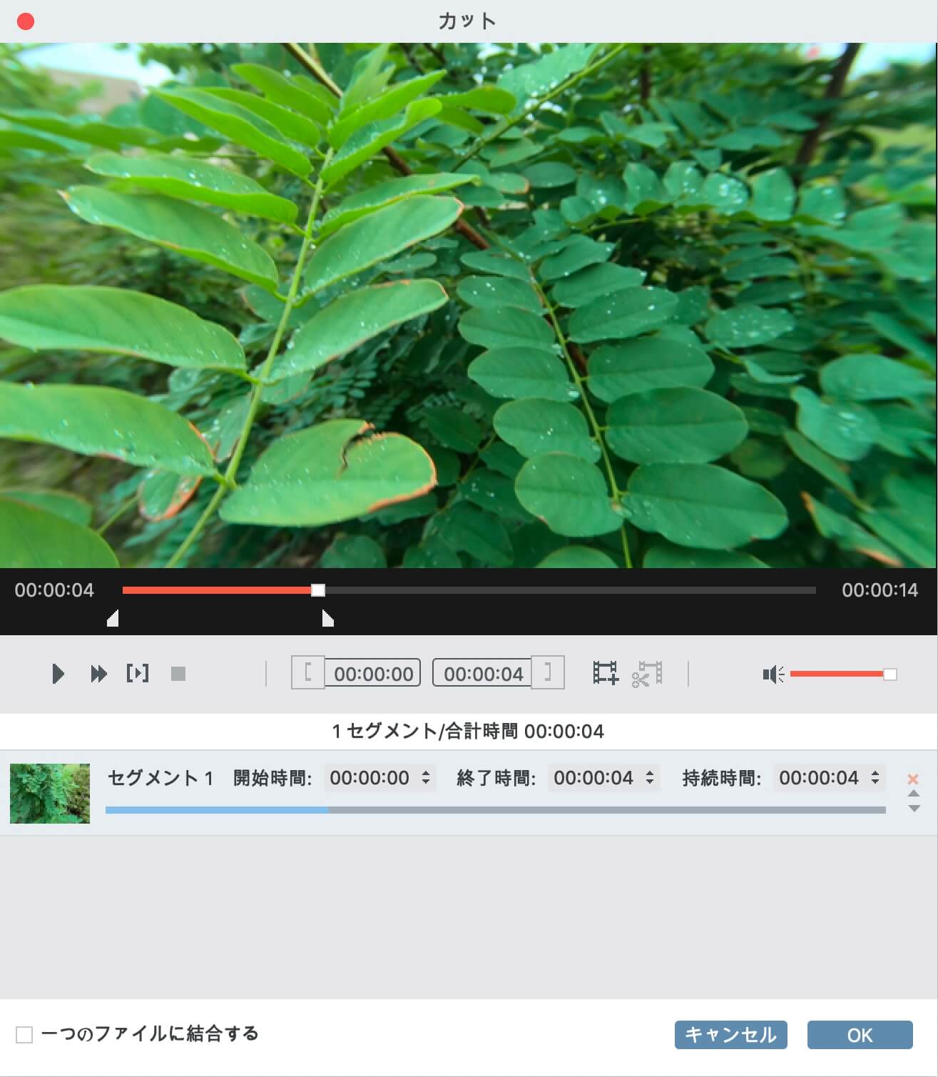 VideoSolo究極動画変換のカット画面