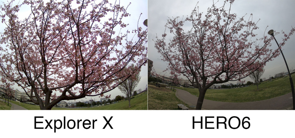 elephone-explorer-x80.JPG 桜の写真