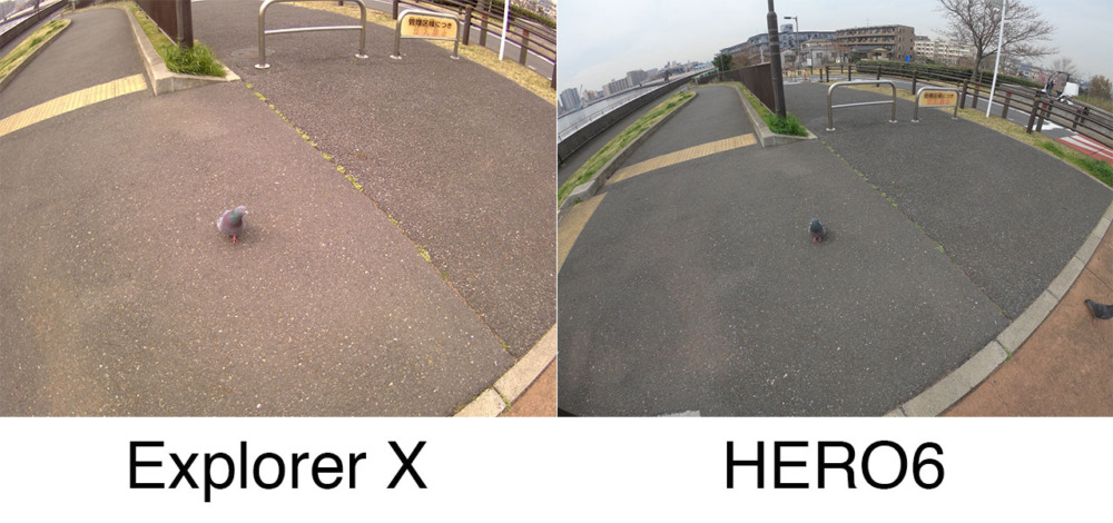 elephone-explorer-x81.jpg 鳩の写真