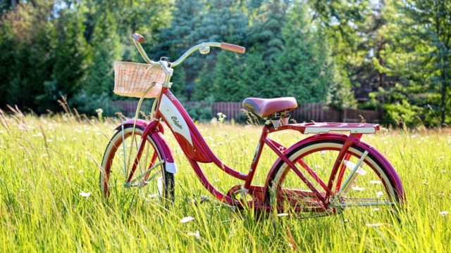 草むらと自転車