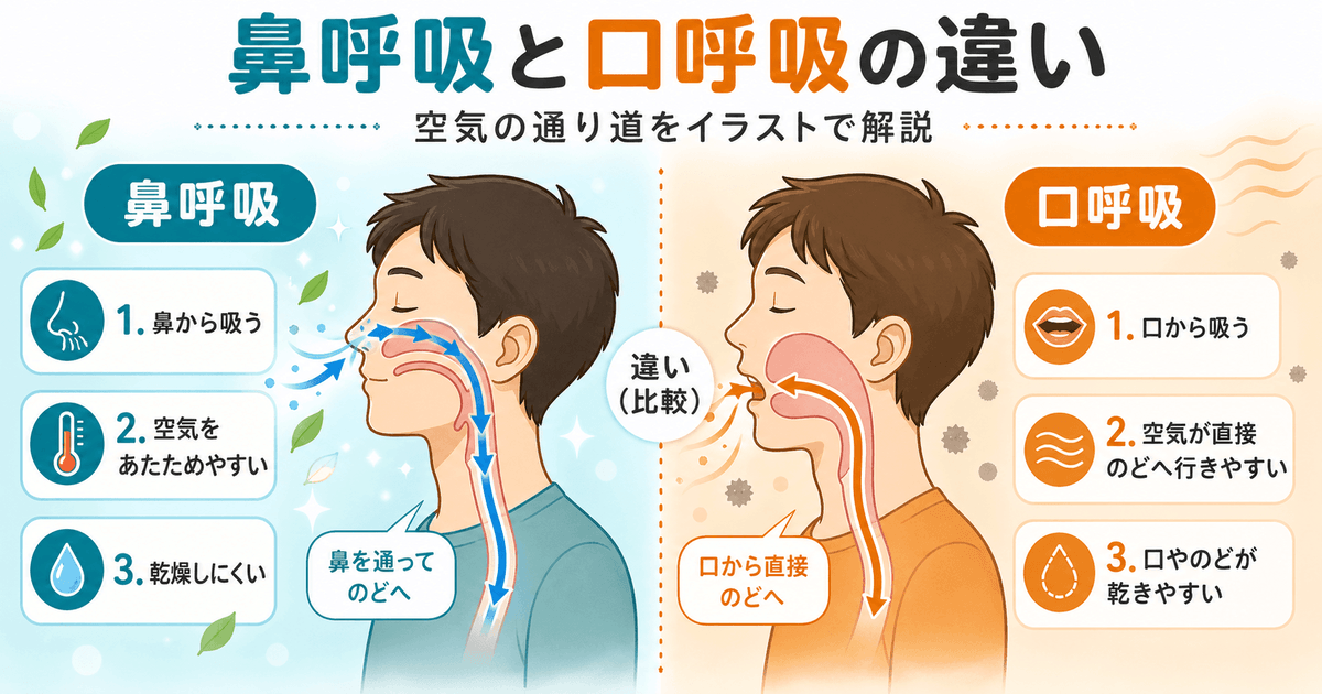 鼻呼吸と口呼吸の空気の通り道を比較した図解