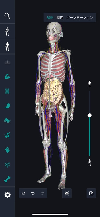 teamlabBody Proでレイヤーごとに表示