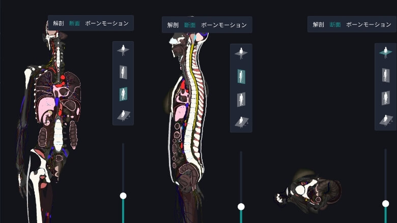 teamlabBody Proの断面図