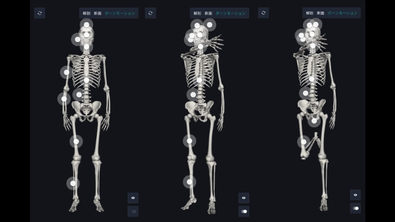 teamlabBody Proの骨アニメーション